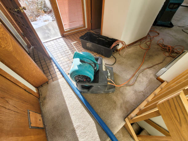 Best 24/7 water damage repair  in Columbus, WI