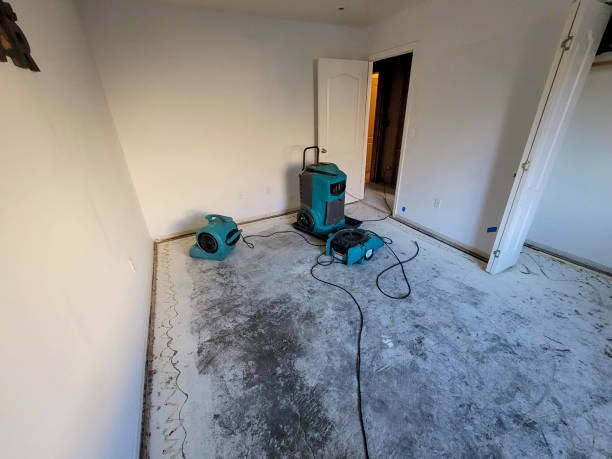 Best Residential water damage restoration  in Columbus, WI