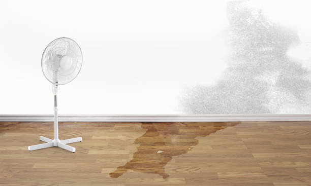 Best Flooded house restoration  in Columbus, WI