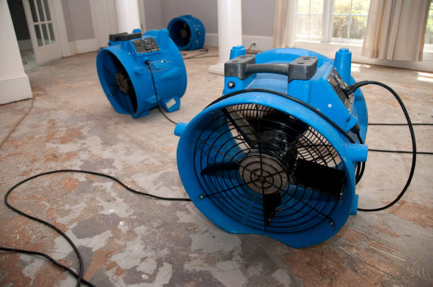 Best Water damage cleanup near me  in Columbus, WI