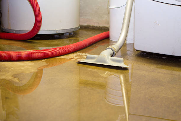 Best Water damage restoration cost  in Columbus, WI